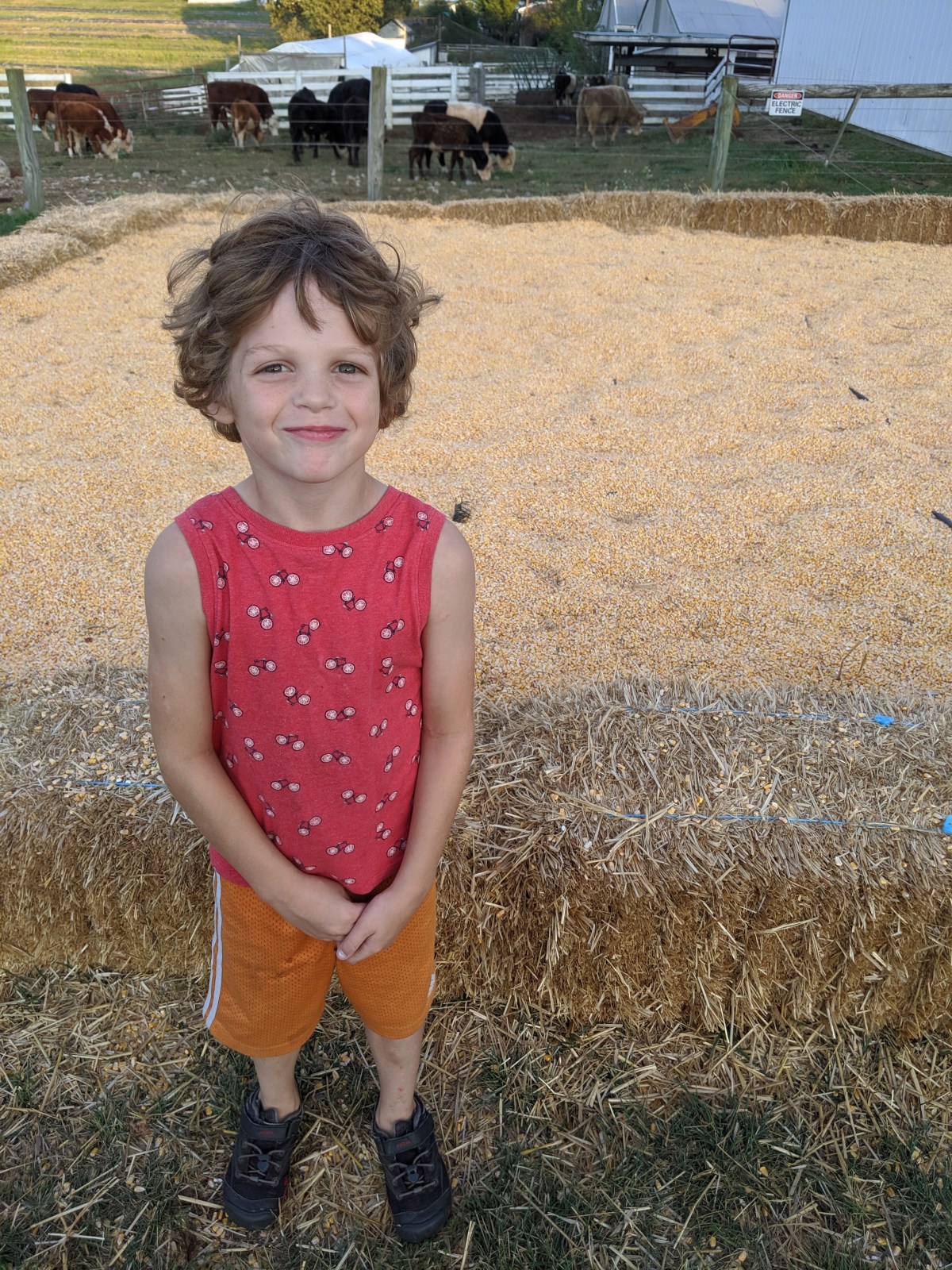 Allergy Diagnosis Pt.&nbsp;2