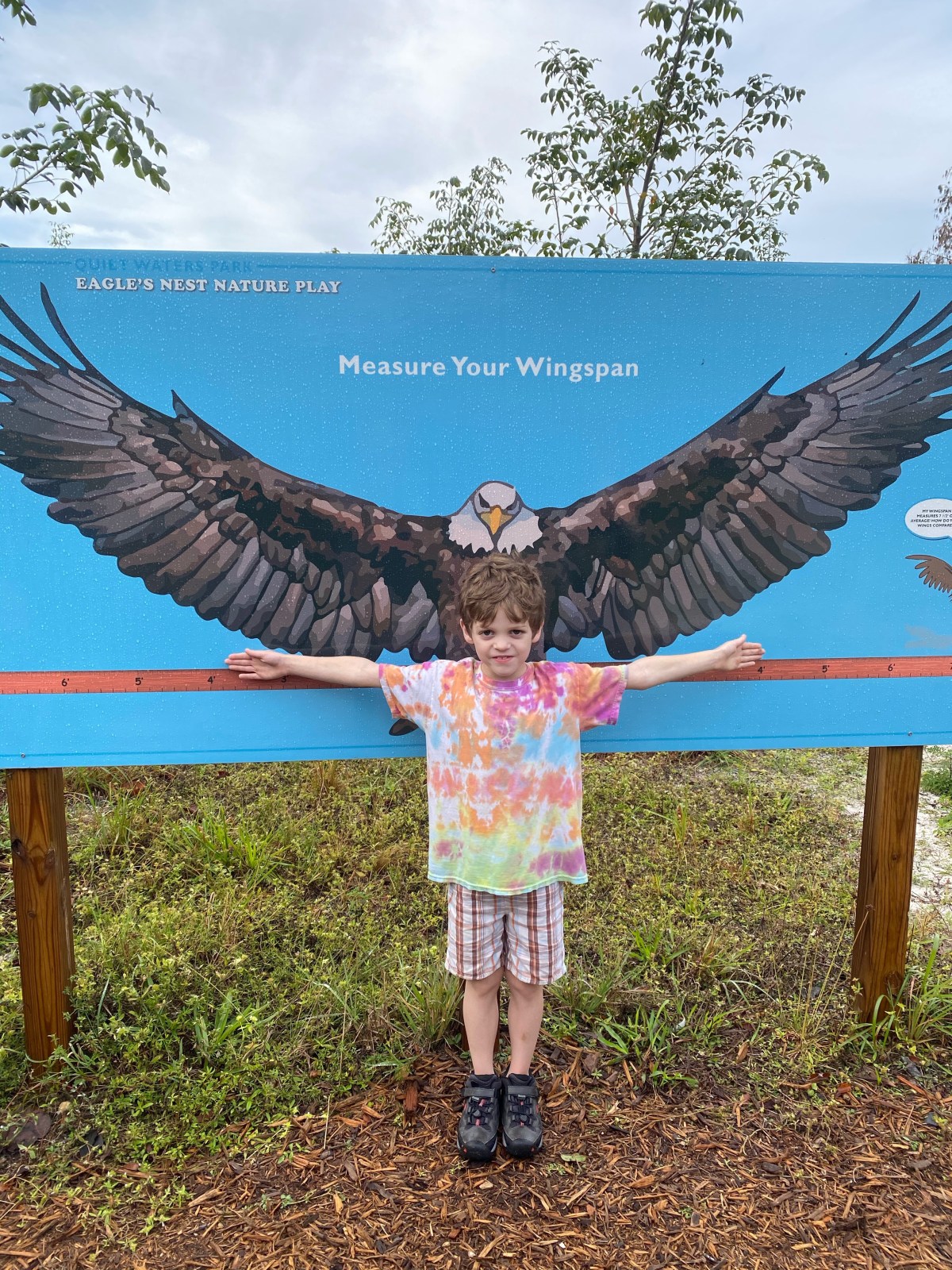 Allergy Diagnosis Pt.&nbsp;1