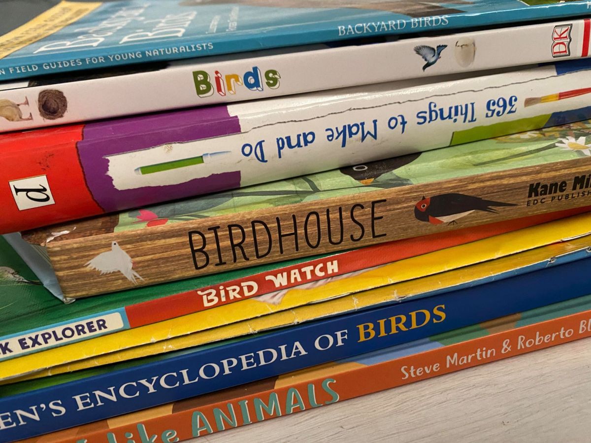 Our Homeschooling Curriculum